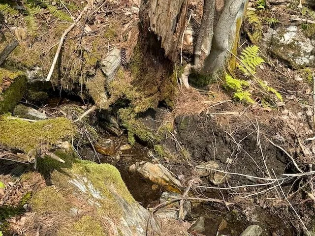 $450,000 | Peavine Boulevard, Bethel, VT 05032