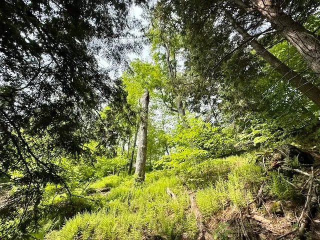 $450,000 | Peavine Boulevard, Bethel, VT 05032