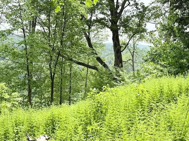 $450,000 | Peavine Boulevard, Bethel, VT 05032