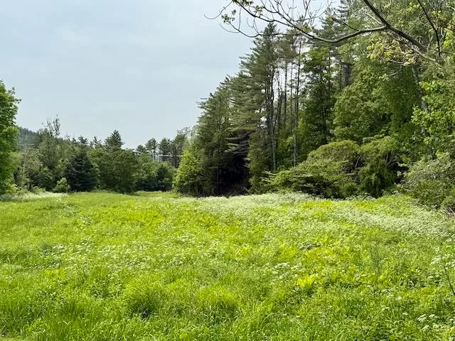 $450,000 | Peavine Boulevard, Bethel, VT 05032