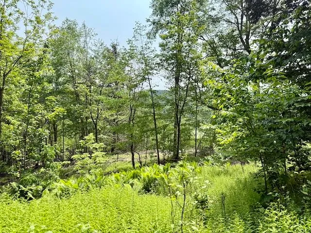 $450,000 | Peavine Boulevard, Bethel, VT 05032