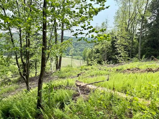 $450,000 | Peavine Boulevard, Bethel, VT 05032