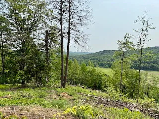 $450,000 | Peavine Boulevard, Bethel, VT 05032
