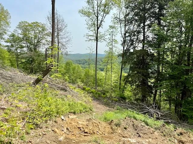 $450,000 | Peavine Boulevard, Bethel, VT 05032