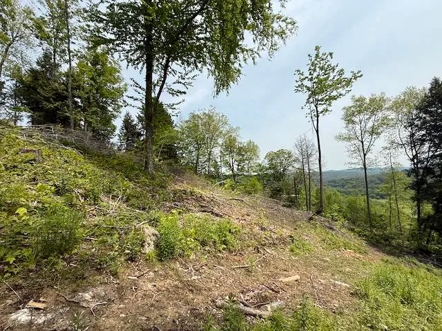 $450,000 | Peavine Boulevard, Bethel, VT 05032