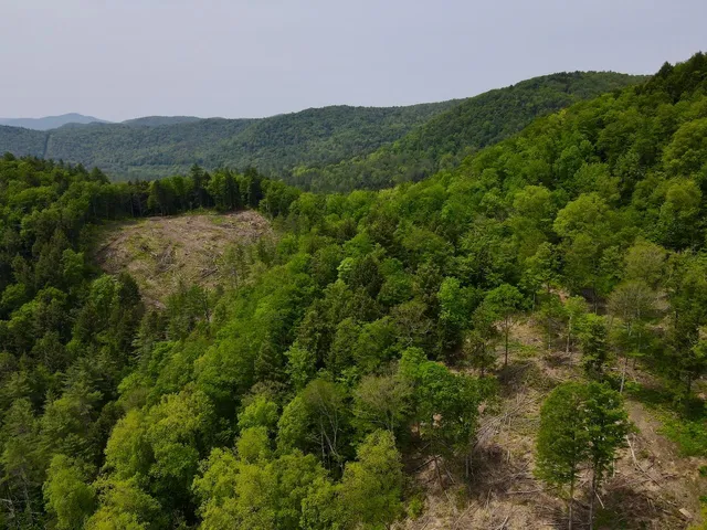 $450,000 | Peavine Boulevard, Bethel, VT 05032