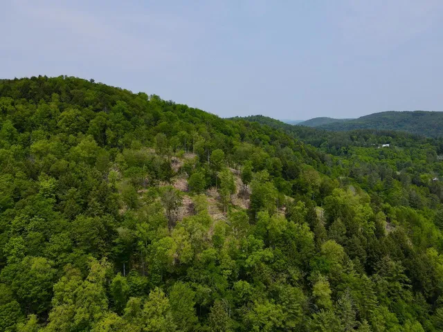 $450,000 | Peavine Boulevard, Bethel, VT 05032