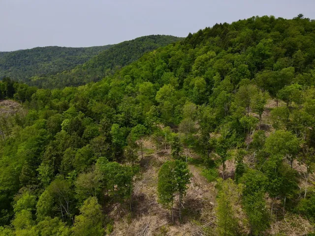 $450,000 | Peavine Boulevard, Bethel, VT 05032