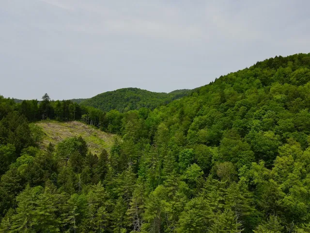 $450,000 | Peavine Boulevard, Bethel, VT 05032