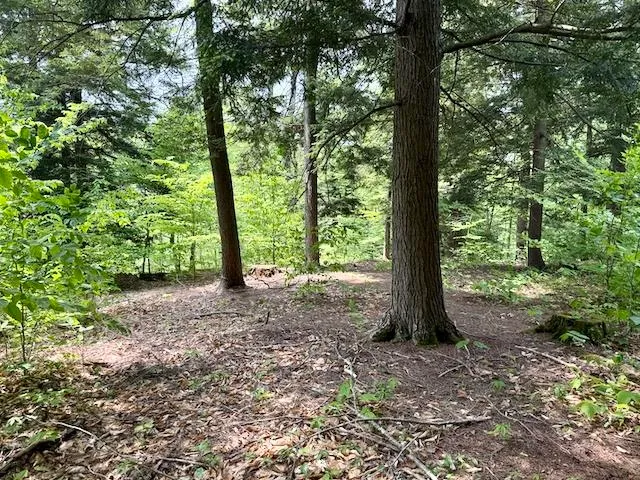 $450,000 | Peavine Boulevard, Bethel, VT 05032