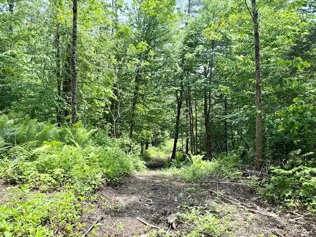 $450,000 | Peavine Boulevard, Bethel, VT 05032