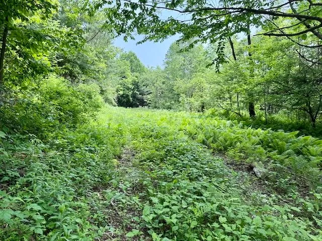 $450,000 | Peavine Boulevard, Bethel, VT 05032