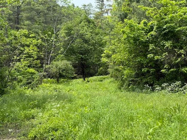 $450,000 | Peavine Boulevard, Bethel, VT 05032