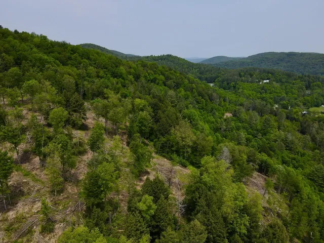 $450,000 | Peavine Boulevard, Bethel, VT 05032