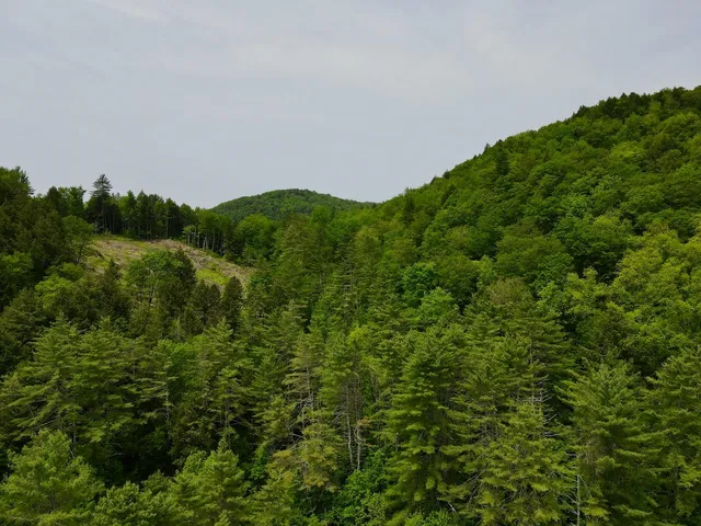 $450,000 | Peavine Boulevard, Bethel, VT 05032