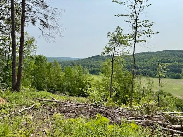 $450,000 | Peavine Boulevard, Bethel, VT 05032