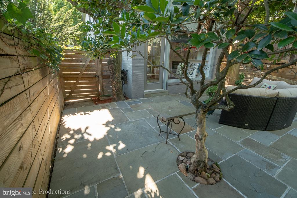 1663 45th Street Northwest Washington, DC 20007 - Photo 17 of 53 Gallery Image 17