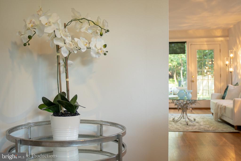 1663 45th Street Northwest Washington, DC 20007 - Photo 48 of 53 Gallery Image 48