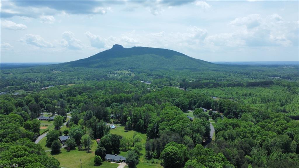 171 Golf Course Road Pilot Mountain, NC 27041 - Photo 46 of 48 Gallery Image 46
