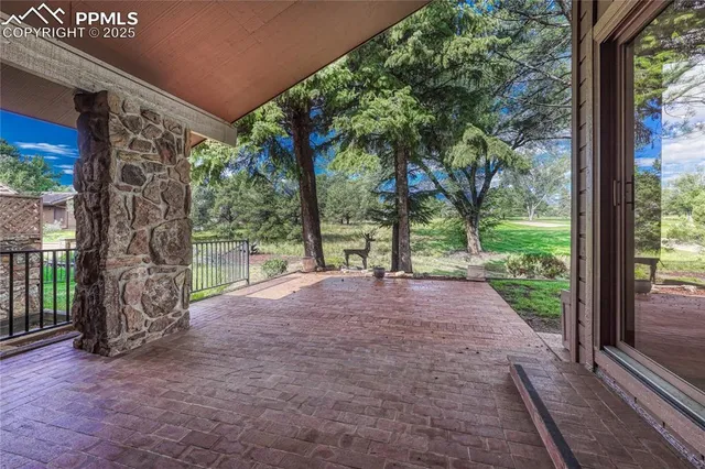 a view of a yard with plants and a large tree