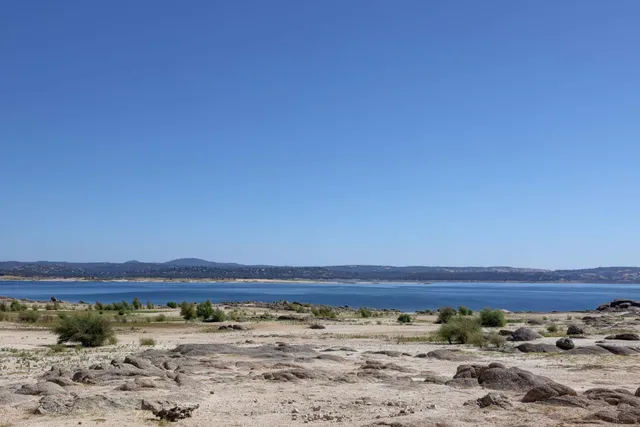 a view of a yard with trees