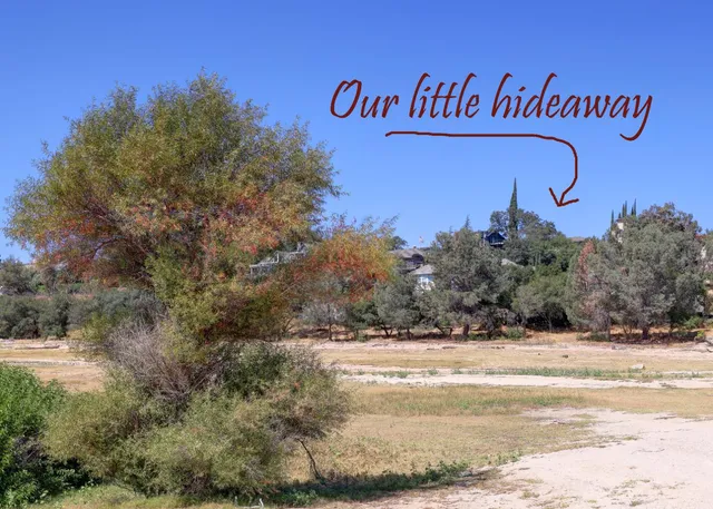 a view of a backyard of the house