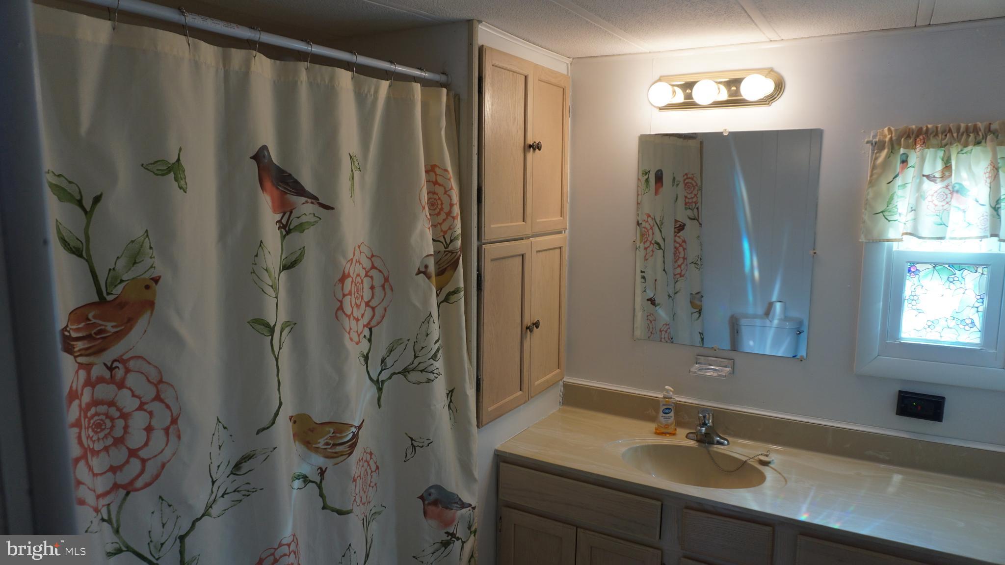 572 Miles Standish Lane Buena, NJ 08310 - Photo 19 of 22 a bathroom with a sink and mirror