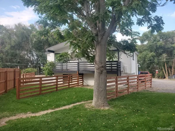 a view of a bench in the garden near a tree