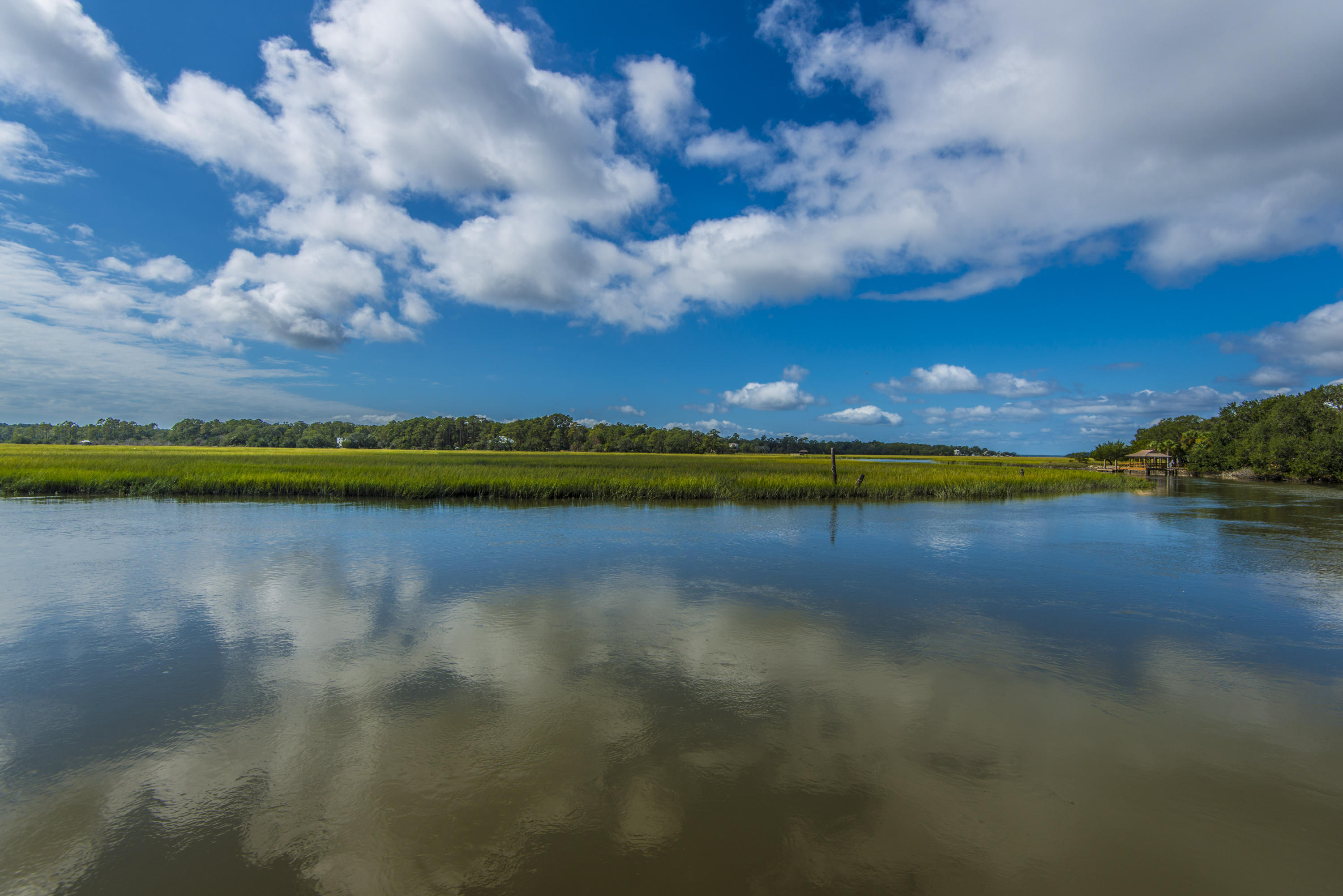 8526 Oyster Factory Road Edisto Island, SC 29438 - Photo 48 of 57 8526 Oyster Factory Road (45)