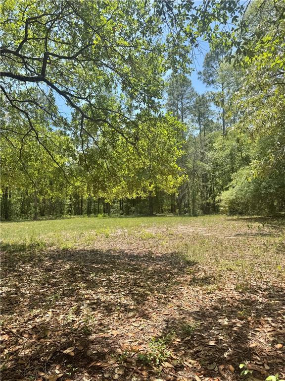 652 Picnic Lane Townsend, GA 31331 - Photo 3 of 5