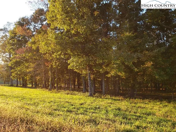 $19,900 | Crestview Mountain Drive, Ennice, NC 28623