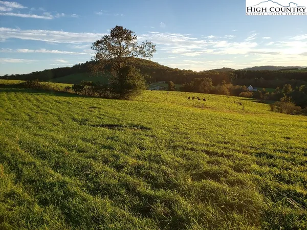 $19,900 | Crestview Mountain Drive, Ennice, NC 28623