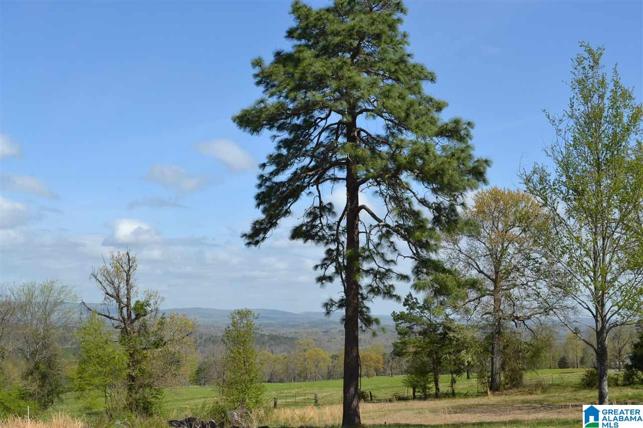 1400 McCay Road Locust Fork, AL 35097 - Photo 49 of 50