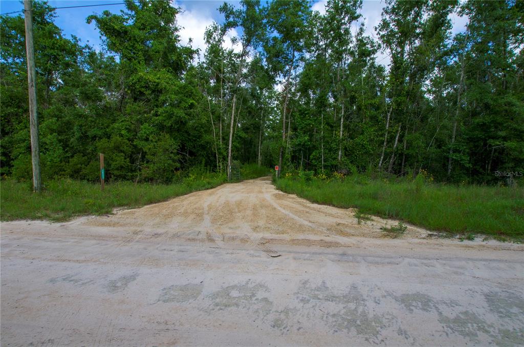 18233 185th Road Live Oak, FL 32060 - Photo 11 of 99