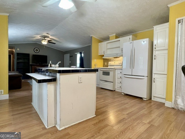1465 Webb Circle Metter, GA 30439 - Photo 9 of 29