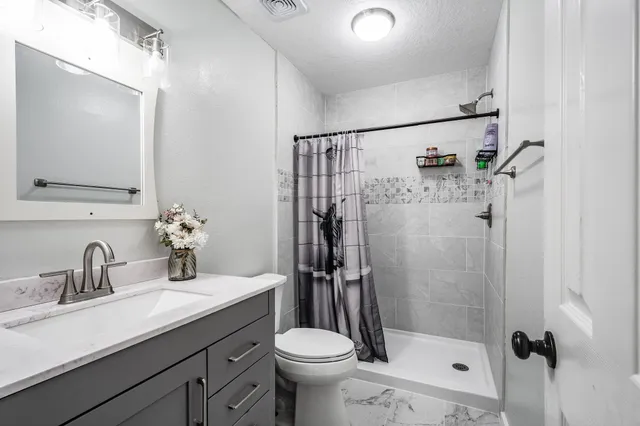 a view of a backyard with a garden and plants