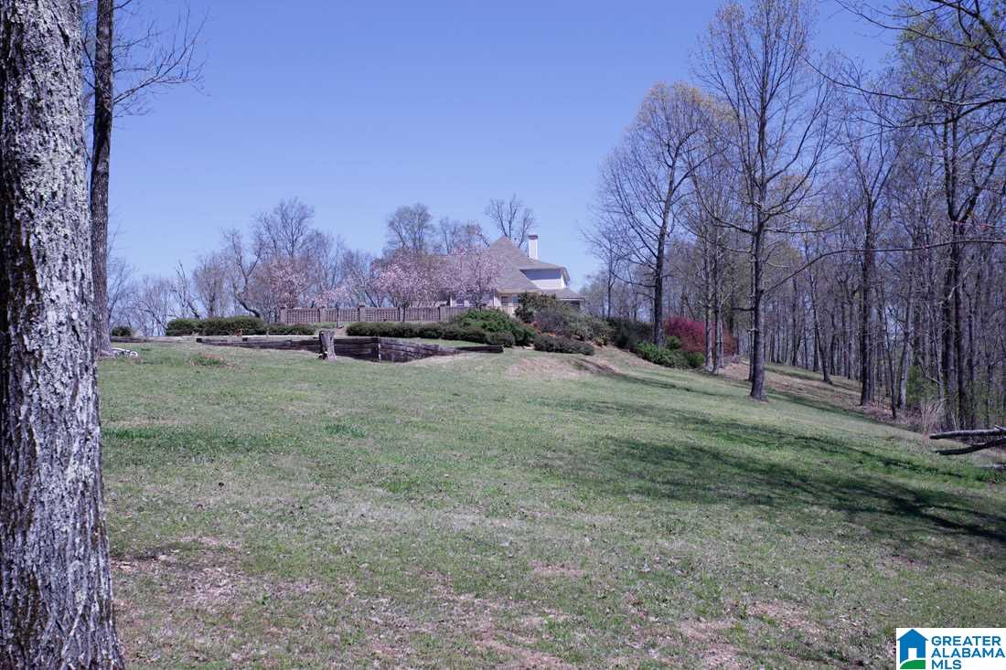 7625 Old Springville Road Trussville, AL 35173 - Photo 45 of 49