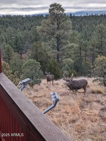 $429,500 | 2901 Ridge Road, Heber, AZ 85928