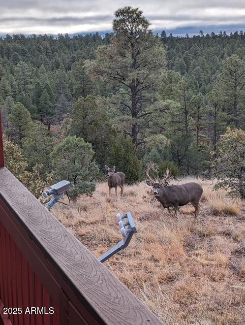 2901 Ridge Road Heber, AZ 85928 - Photo 34 of 53 4538863329512299007