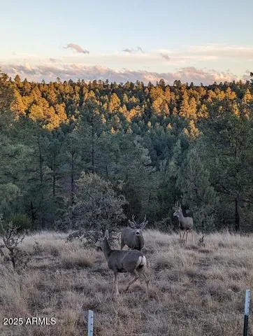 $429,500 | 2901 Ridge Road, Heber, AZ 85928