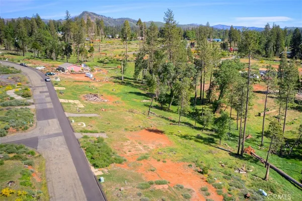 a view of a garden with an outdoor space