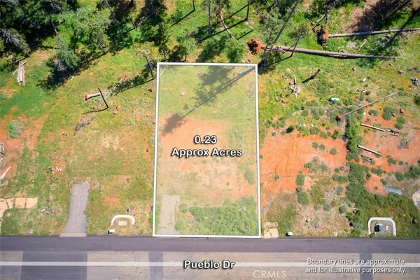 a view of a glass door with a tree