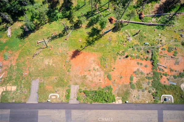 a view of a yard