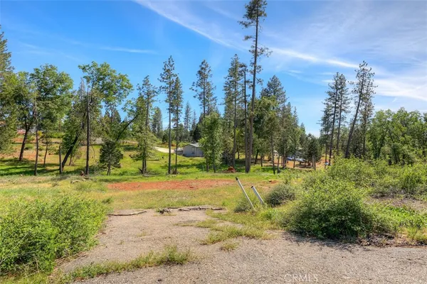 a view of a yard with palm trees