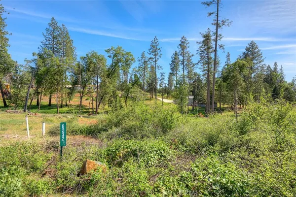 a view of yard with green space