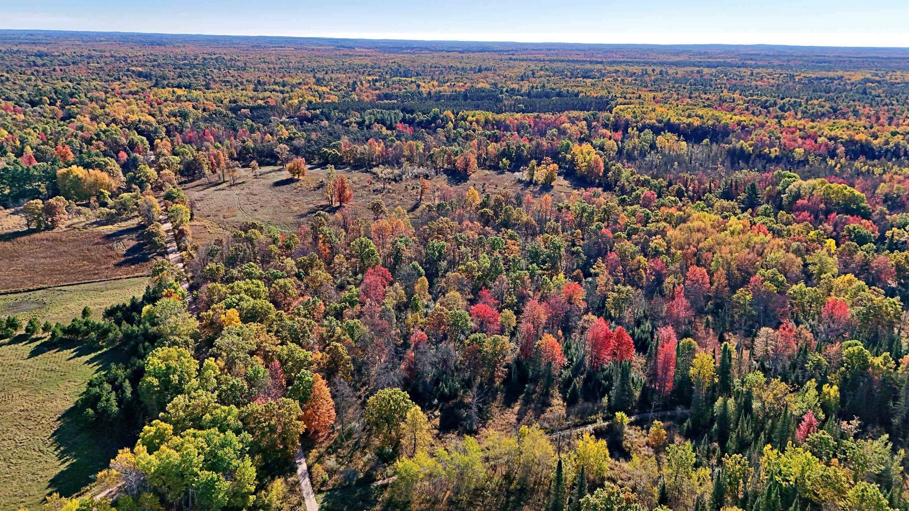 0 Twin Lake Road Marion, MI 49665 - Photo 11 of 33