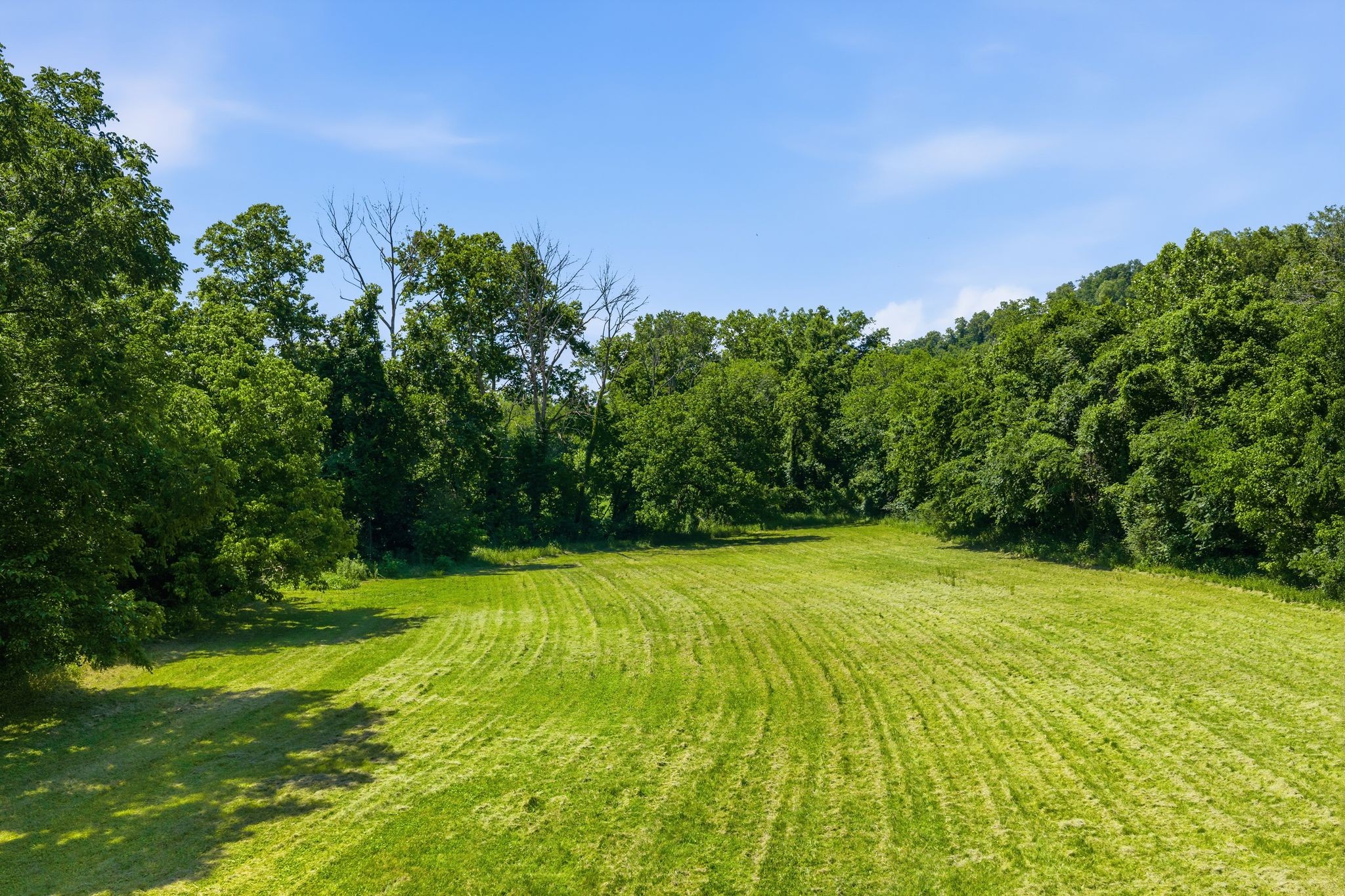 1075 Dog Creek Road Kingston Springs, TN 37082 - Photo 47 of 58