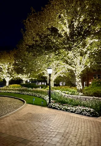 a view of a road with a yard