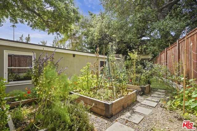 a view of a backyard with plants
