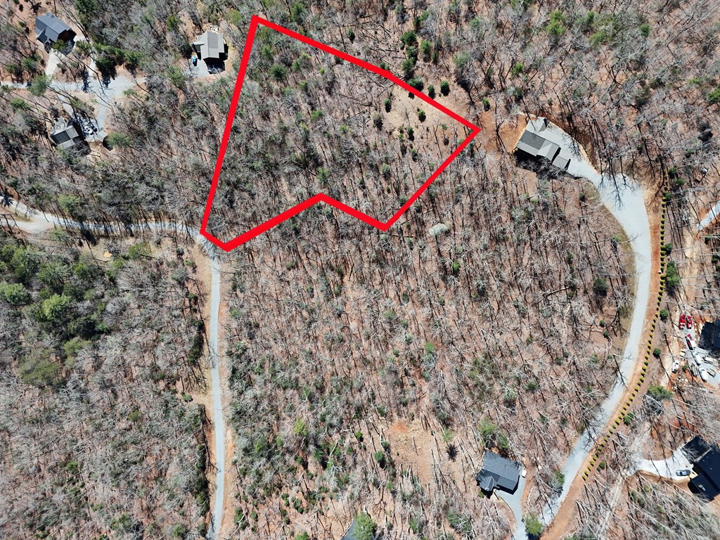 Lot 15 Native Trail Cherry Log, GA 30522 - Photo 7 of 11